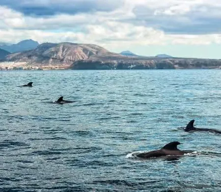 Apartament Sunset View At Port Royale With Heated Pool And Free Wi-fi *